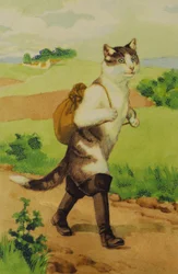 Illusztráció: The Boot Cat Conte de Perrault